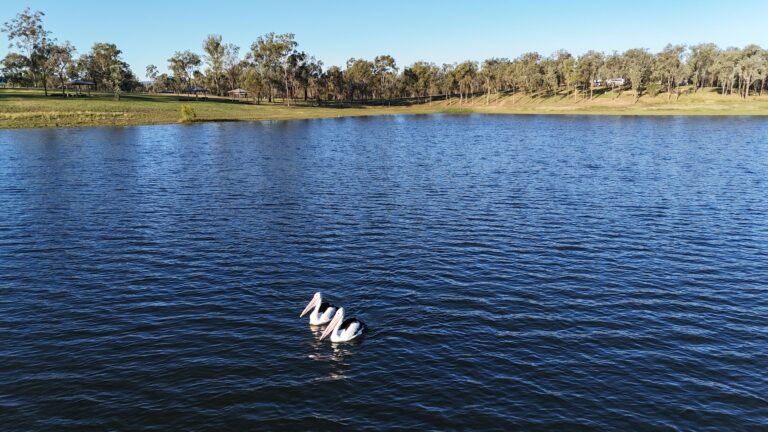 How Kaytee Frost is helping nature thrive at BPro